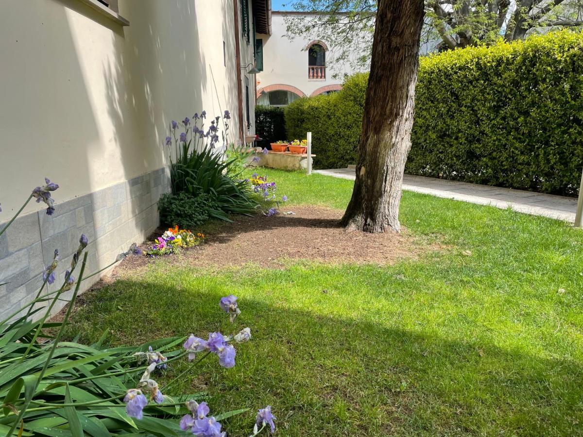 Dalu Florence Apartment Davide - Private Car Park 15 Minutes To The City Center Exteriör bild