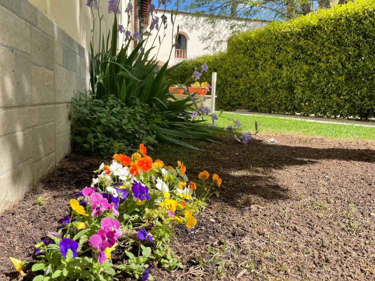 Dalu Florence Apartment Davide - Private Car Park 15 Minutes To The City Center Exteriör bild