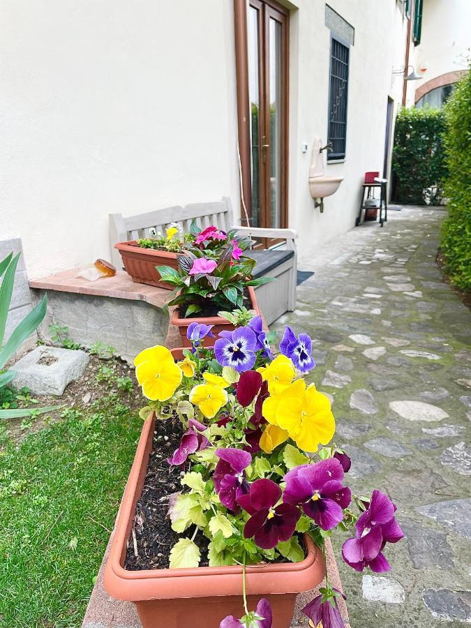 Dalu Florence Apartment Davide - Private Car Park 15 Minutes To The City Center Exteriör bild