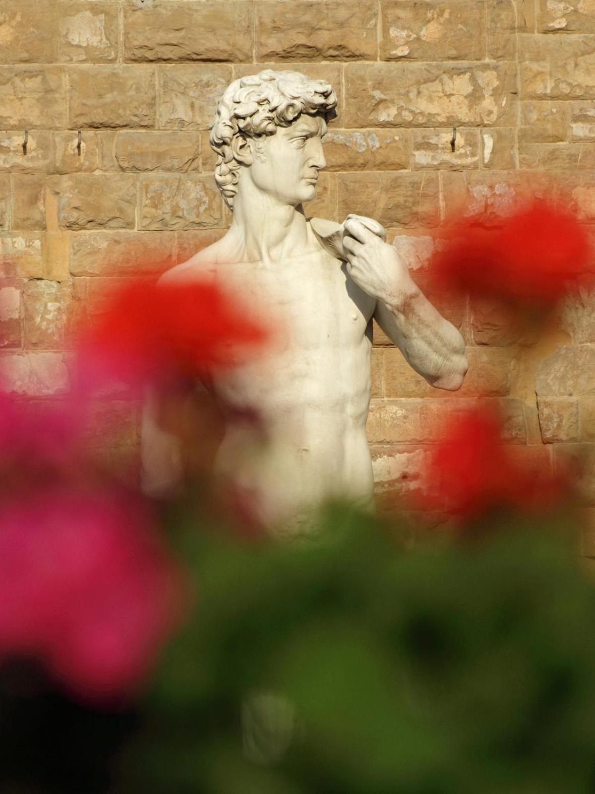 Dalu Florence Apartment Davide - Private Car Park 15 Minutes To The City Center Exteriör bild