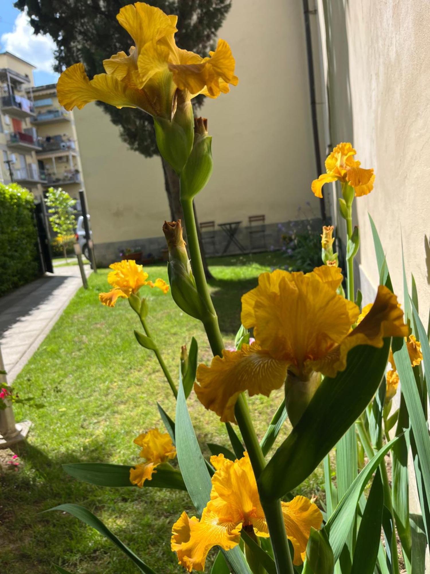 Dalu Florence Apartment Davide - Private Car Park 15 Minutes To The City Center Exteriör bild